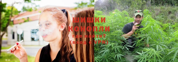 mdpv Верея